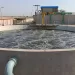 بني سويف تستضيف حوارًا موسعًا لدعم التحول نحو الطاقة المتجددة