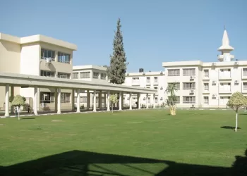 انطلاق فعاليات الأسبوع التدريبي الـ31 بمركز سقارة غدًا الاثنين بمشاركة 130 متدربًا