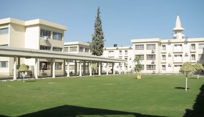 انطلاق فعاليات الأسبوع التدريبي الـ31 بمركز سقارة غدًا الاثنين بمشاركة 130 متدربًا