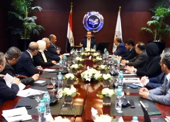 الرئيس التنفيذي للهيئة العامة الاستثمار يتابع خطط التوسع بالمناطق الحرة والاستثمارية