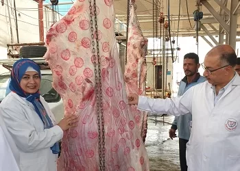 ذبح 1153 أضحية بالمجان بمجازر الشرقية 4 - جريدة الجمهورية ذبح 1153 أضحية بالمجان بمجازر الشرقية