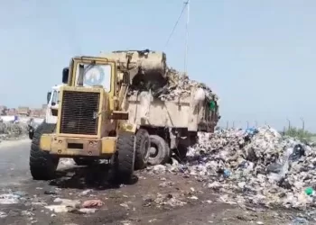 حملات مكثفة لمداهمة «أوكار النباشين» بالإسكندرية ورفع 123 طن مخلفات بأحياء المنتزه والجمرك