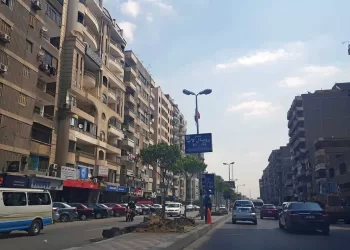 أبو الغيط رئيسًا لحي المقطم