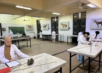 طلاب كليات القطاع الصحي بجامعة القاهرة الأهلية يؤدون الامتحانات العملية في أجواء من الانضباط والتنظيم