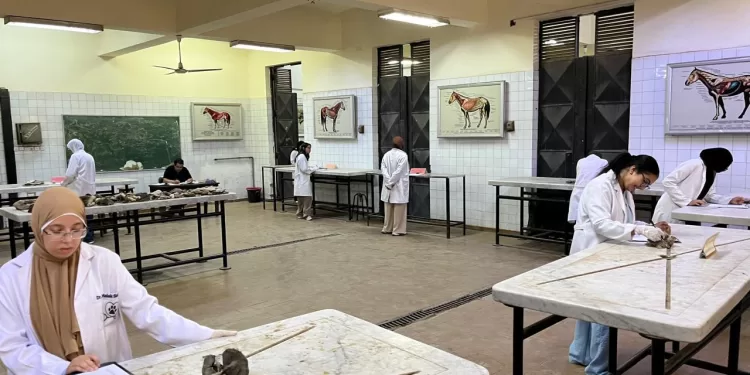 طلاب كليات القطاع الصحي بجامعة القاهرة الأهلية يؤدون الامتحانات العملية في أجواء من الانضباط والتنظيم 1 - جريدة الجمهورية طلاب كليات القطاع الصحي بجامعة القاهرة الأهلية يؤدون الامتحانات العملية في أجواء من الانضباط والتنظيم