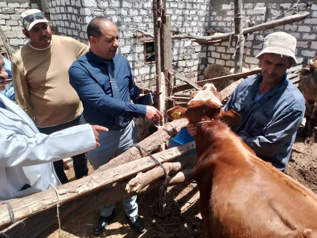 تحصين 149 ألف رأس ماشية ضد الأمراض بالدقهلية 2 - جريدة الجمهورية 0258 1 1 - جريدة الجمهورية