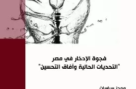 معهد التخطيط القومي يُصدر موجزاً حول «فجوة الادخار في مصر»..قراءة في التحديات وحلول الاستدامة