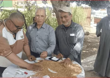 توريد ٢٦٢ ألف طن قمح لمواقع التخزين والصوامع بالدقهلية