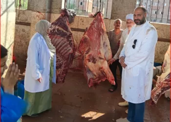 محافظ أسيوط: ذبح 655 أضحية بالمجازر الحكومية.. وجهود متكاملة لتعزيز الأمن الغذائي وحماية الصحة العامة