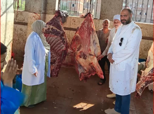 محافظ أسيوط: ذبح 655 أضحية بالمجازر الحكومية.. وجهود متكاملة لتعزيز الأمن الغذائي وحماية الصحة العامة