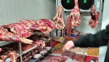في رابع أيام عيد الأضحى المبارك..ضبط 190 كيلو جرام لحوم منتهية الصلاحية بالشرقية