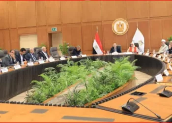 الحصاد الأسبوعي لأنشطة وزارة التعليم العالي والبحث العلمي