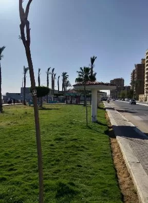 2 136 - جريدة الجمهورية