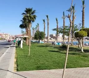 التنمية المحلية والبيئة تعلن ختام المرحلة الرابعة من مبادرة «١٠٠ مليون شجرة» بزراعة ٢٠٠ ألف شجرة