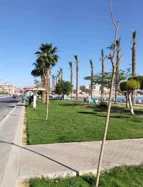 التنمية المحلية والبيئة تعلن ختام المرحلة الرابعة من مبادرة «١٠٠ مليون شجرة» بزراعة ٢٠٠ ألف شجرة