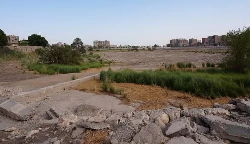 محافظ أسيوط يتفقد أرض «مصنع الغزل» بالحمراء لبحث إقامة مشروعات تنموية وخدمية 5 - جريدة الجمهورية 3 50 - جريدة الجمهورية
