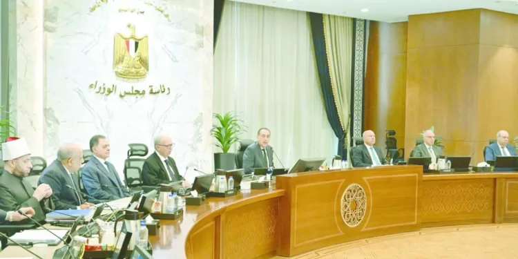 الدلتا الجديدة» توفر مساحات زراعية توازى 4 محافظات