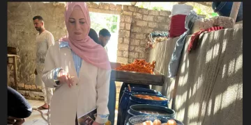 ضبط 32 طن مخللات وكميات كبيرة من السلع مجهولة المصدر