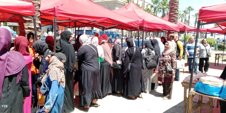 محافظة الإسكندرية تُكثّف إقامة أسواق اليوم الواحد استعدادًا لعيد الأضحى المبارك وللسيطرة على ارتفاع الأسعار