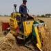 الشرقية: توريد 508 آلاف طن من القمح وسط إقبال غير مسبوق 8 - جريدة الجمهورية الشرقية: توريد 508 آلاف طن من القمح وسط إقبال غير مسبوق