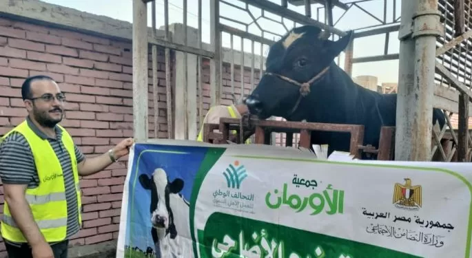 تحت إشراف «تضامن كفر الشيخ».. «الأورمان» تنهي استعداداتها لتوزيع 10 أطنان من لحوم الأضاحي 1 - جريدة الجمهورية تحت إشراف «تضامن كفر الشيخ».. «الأورمان» تنهي استعداداتها لتوزيع 10 أطنان من لحوم الأضاحي