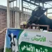 تحت إشراف «تضامن كفر الشيخ».. «الأورمان» تنهي استعداداتها لتوزيع 10 أطنان من لحوم الأضاحي 7 - جريدة الجمهورية تحت إشراف «تضامن كفر الشيخ».. «الأورمان» تنهي استعداداتها لتوزيع 10 أطنان من لحوم الأضاحي