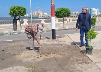 رئيس مدينة بلطيم يتابع أعمال مبادرة «100 مليون شجرة» بمدخل المدينة الرئيسي