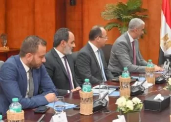 وزير الاستثمار يبحث مع «ڤودافون مصر» ميكنة منظومة التجارة وإطلاق «المختبر التنظيمي»