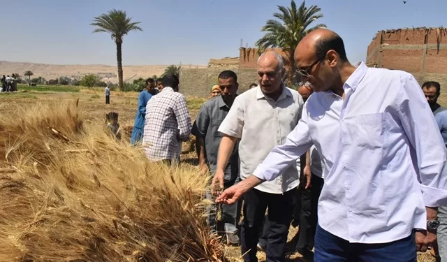 محافظ أسيوط يتفقد حصاد «الذهب الأصفر» بقرية درنكة ويتابع منظومة التوريد