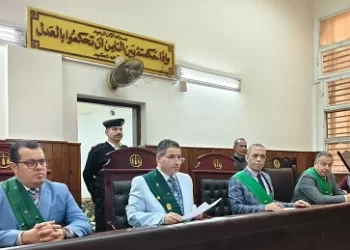 نهاية طريق الانحراف.. السجن المشدد لشقيقين بتهمة الاتجار في المخدرات وحيازة سلاح بالمنيا
