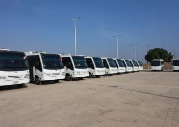 مسودة تلقائية