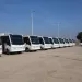 مسودة تلقائية
