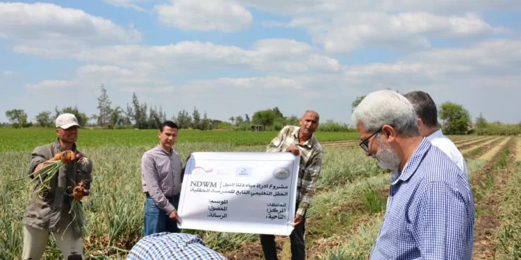 البحيرة تواصل إنهاء ملفات تقنين أراضي الدولة وتسليم العقود للمستحقين