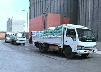 انتعاش منظومة توريد القمح بمحافظة البحيرة