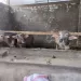 التنمية المحلية: دعم آلاف المشروعات وتمكين اقتصادي واسع للمرأة والشباب 5 - جريدة الجمهورية التنمية المحلية: دعم آلاف المشروعات وتمكين اقتصادي واسع للمرأة والشباب