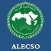 بأدوات تقنية حديثة.. «الألكسو» تُطلق مشروعًا عربيًا لتعزيز الهوية عبر الألعاب الإلكترونية