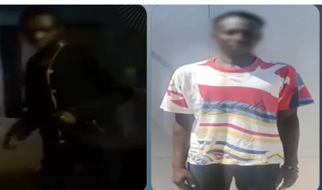 القبض على أجنبي ظهر مترنحًا ومثيرًا للفوضى في البساتين 1 - جريدة الجمهورية القبض على أجنبي ظهر مترنحًا ومثيرًا للفوضى في البساتين