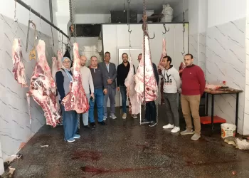 حملات مكثفة بالبحيرة تسفر عن ضبط أطنان من الأغذية غير الصالحة
