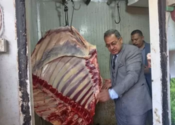 حفاظاً على صحة المواطنين.. حملات تفتيشية مكثفة على أسواق اللحوم بالشرقية