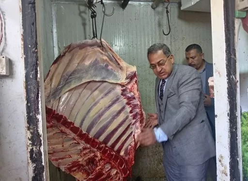 حفاظاً على صحة المواطنين.. حملات تفتيشية مكثفة على أسواق اللحوم بالشرقية