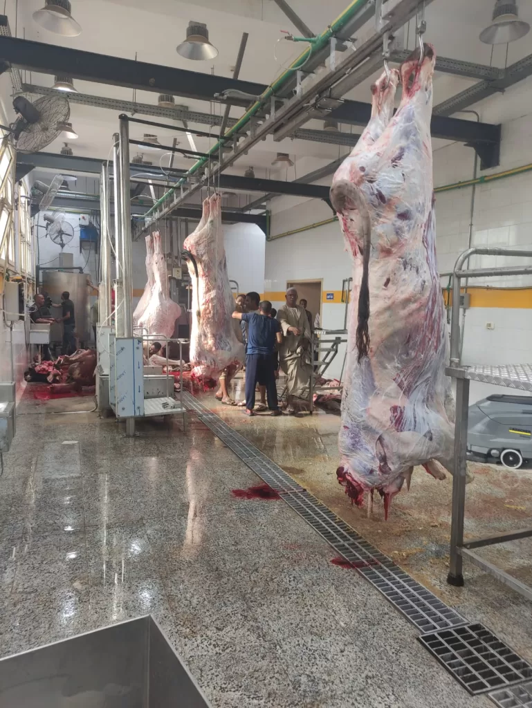 بتكلفة 21.7 مليون جنيه د. منال عوض تعلن التشغيل التجريبي لمجزر دراو بأسوان 3 - جريدة الجمهورية WhatsApp Image 2026 05 13 at 11.58.12 AM 1 - جريدة الجمهورية