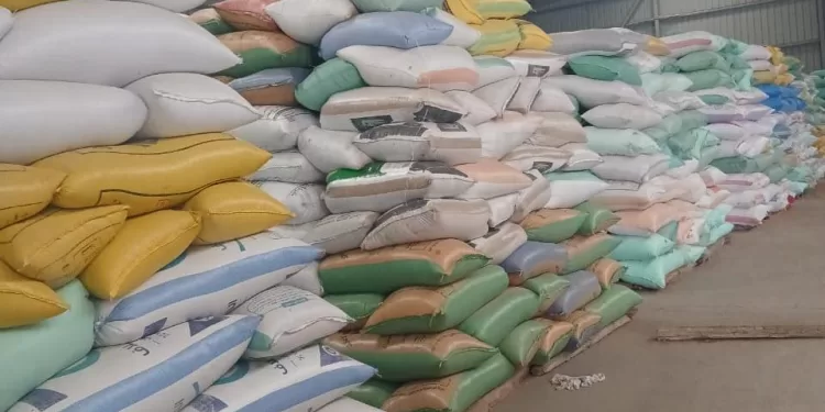 البحيرة تواصل تصدرها في توريد القمح.. 190 ألف طن حتى الآن