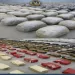 سقطوا «بسموم الموت» بعد مطاردة بالسويس.. الداخلية تحبط مخطط جلب «طن ونصف» مخدرات بـ 100 مليون جنيه