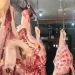 تموين الإسكندرية: خطة شاملة لتأمين الأسواق وتوفير اللحوم استعدادًا لعيد الأضحى 5 - جريدة الجمهورية تموين الإسكندرية: خطة شاملة لتأمين الأسواق وتوفير اللحوم استعدادًا لعيد الأضحى