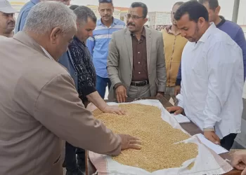 محافظ المنيا: معدلات توريد القمح للشون والصوامع تتصاعد يوميًا