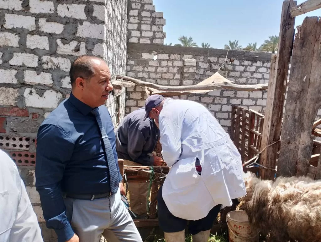 تحصين 149 ألف رأس ماشية ضد الأمراض بالدقهلية 4 - جريدة الجمهورية WhatsApp Image 2026 05 18 at 3.03.44 PM 2 - جريدة الجمهورية