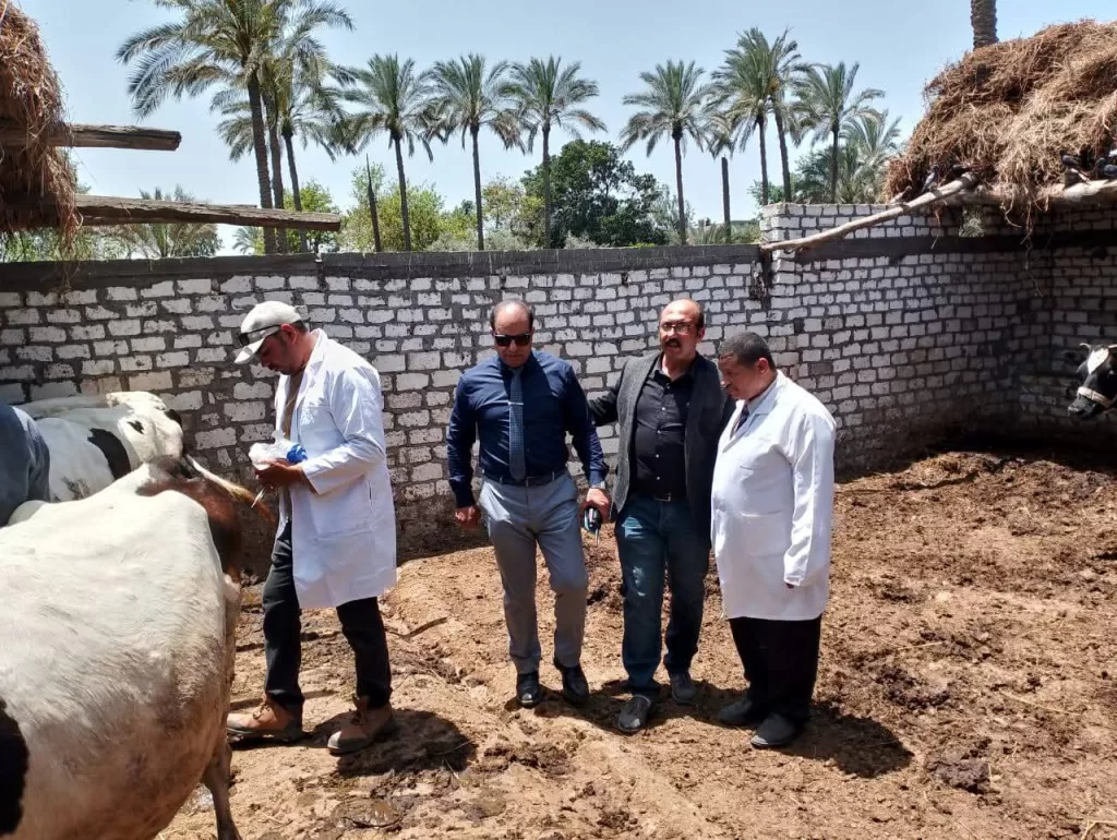 تحصين 149 ألف رأس ماشية ضد الأمراض بالدقهلية 5 - جريدة الجمهورية WhatsApp Image 2026 05 18 at 3.03.44 PM 3 - جريدة الجمهورية