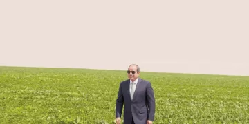 احتواء أزمة «غرفة الملابس»..  تحفيز اللاعبين بمكافآت كبيرة لحسم الدورى