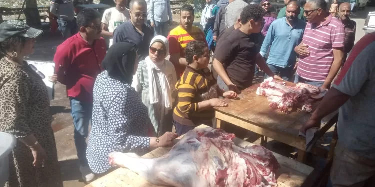 714 ألف جنيه غرامات فورية لمحلات الجزارة المخالفة بالإسكندرية