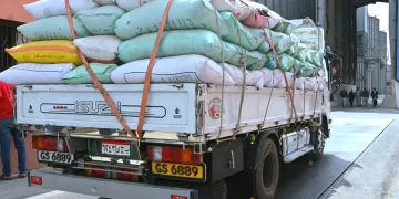 زيادة يومية في كميات القمح الموردة بالبحيرة.. توريد 324 ألف طن حتى الآن